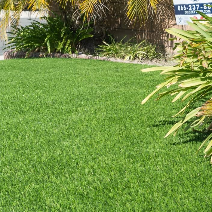 Everglade Fescue - Grizzly Turf & Pavers