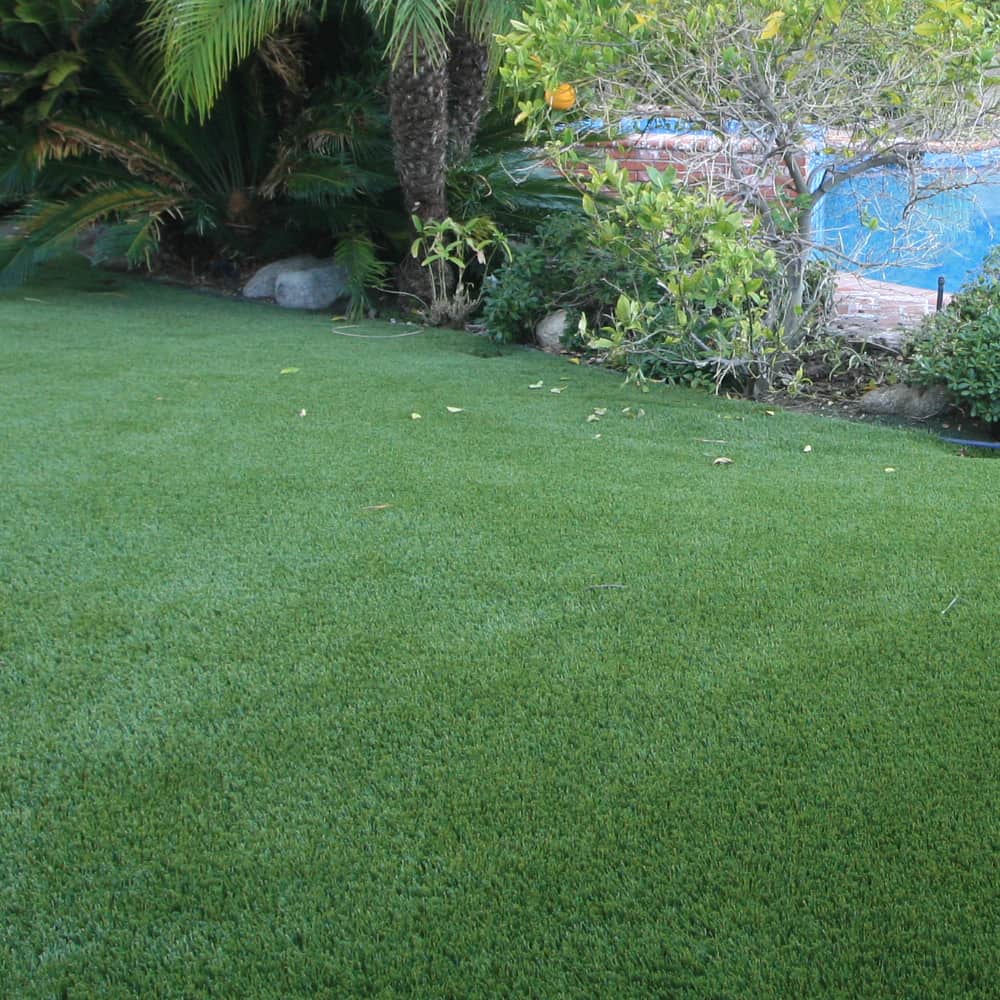 Everglade Pro Fescue - Grizzly Turf & Pavers