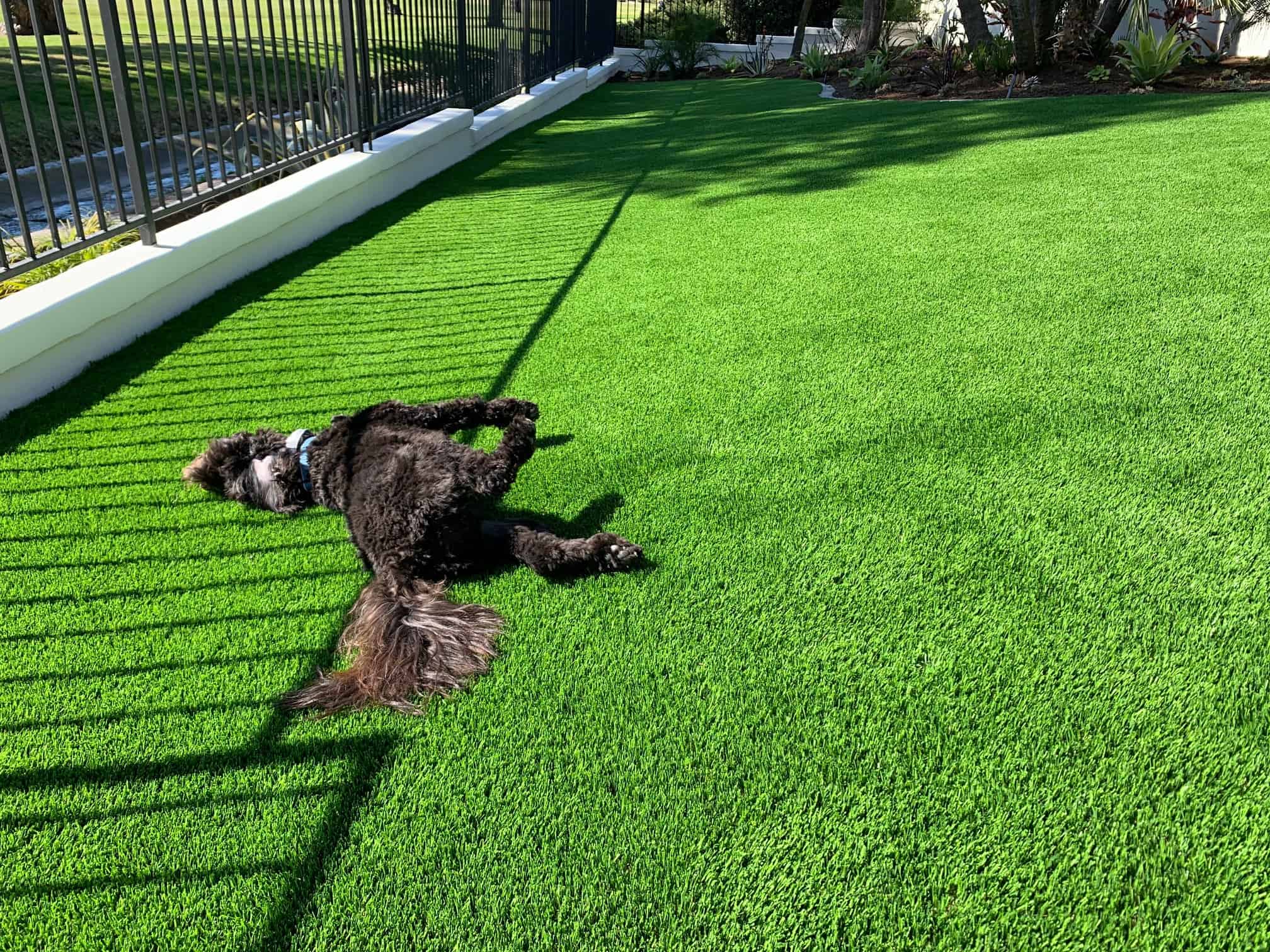 Artificial Grass Installation for Pets | Grizzly Turf & Pavers